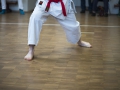 2016-04-26 Kata Turnier Kaarst 175