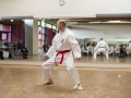 2016-04-26 Kata Turnier Kaarst 206