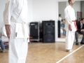 2016-04-26 Kata Turnier Kaarst 208