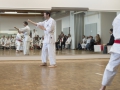 2016-04-26 Kata Turnier Kaarst 286