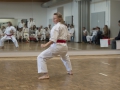 2016-04-26 Kata Turnier Kaarst 287