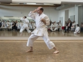 2016-04-26 Kata Turnier Kaarst 293