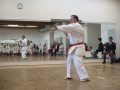 2016-04-26 Kata Turnier Kaarst 299