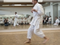 2016-04-26 Kata Turnier Kaarst 309